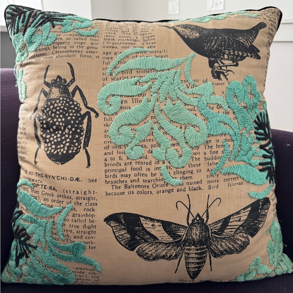 Anthropologie Throw Pillow